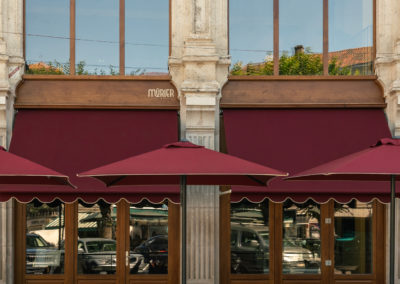 Mûrier
